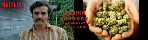 прущие крисы Баксан