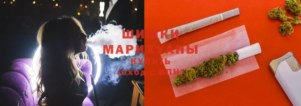 стаф Балахна