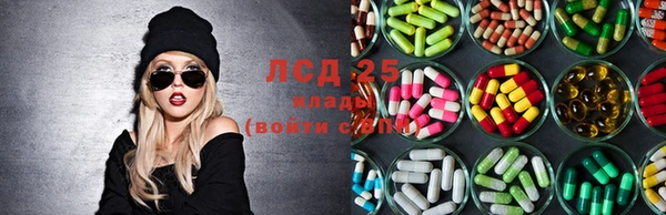 стаф Балахна