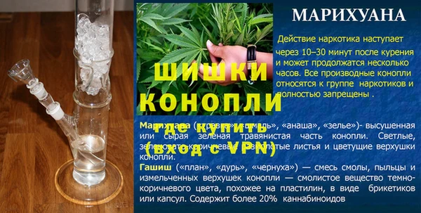 стаф Балахна