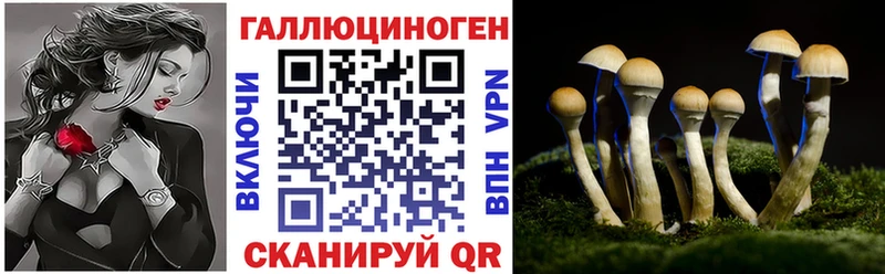 Псилоцибиновые грибы прущие грибы Малмыж